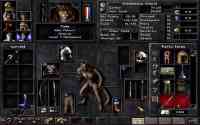 Wizardry 8