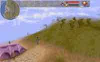 Magic Carpet