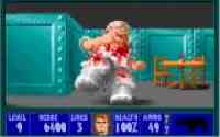 Wolfenstein 3-D