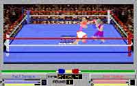 4D Sports Boxing