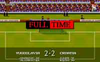 Sensible World Of Soccer